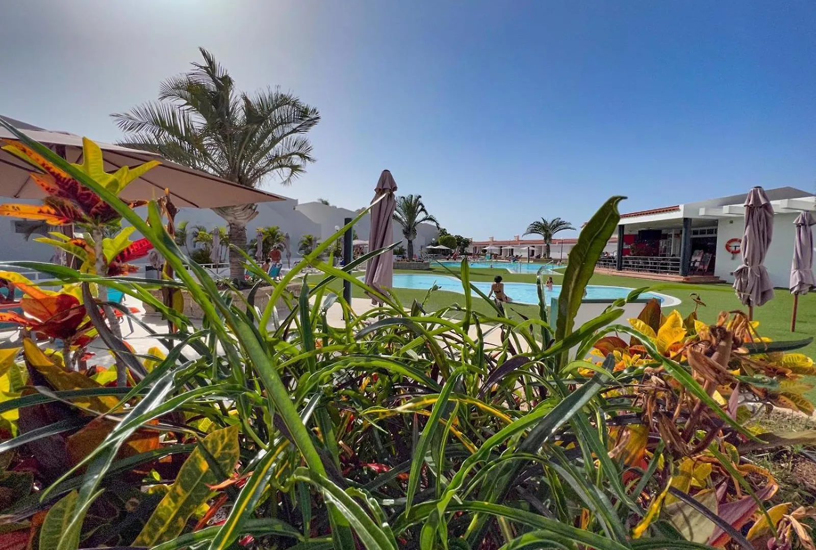 Malibu Park Apartments Sol Costa Adeje   Costa Adeje (Tenerife)